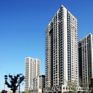 �Ϻ����ɽ����Ϲ���